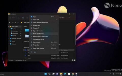 windows 11 开发频道中的文件资源管理器