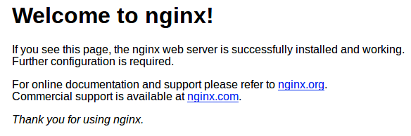 nginx-default-page