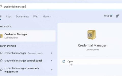 如何在 windows 11 上使用凭据管理器