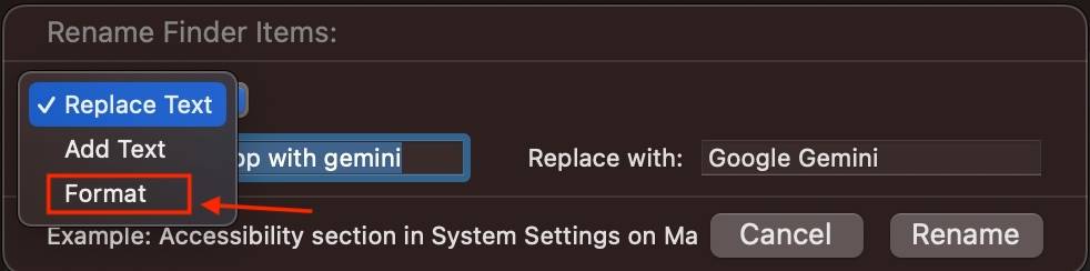 choose-format-in-rename-finder-items