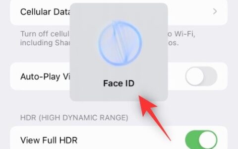 如何在iphone上禁用隐藏和最近删除的照片的face id或touch id