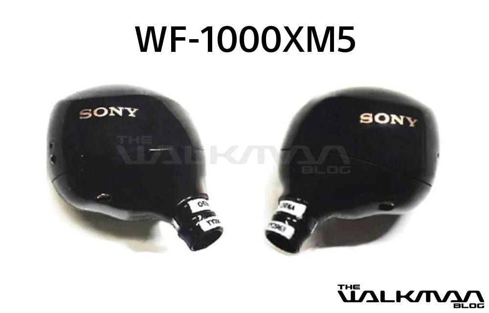 wf1000xm5_cover.webp