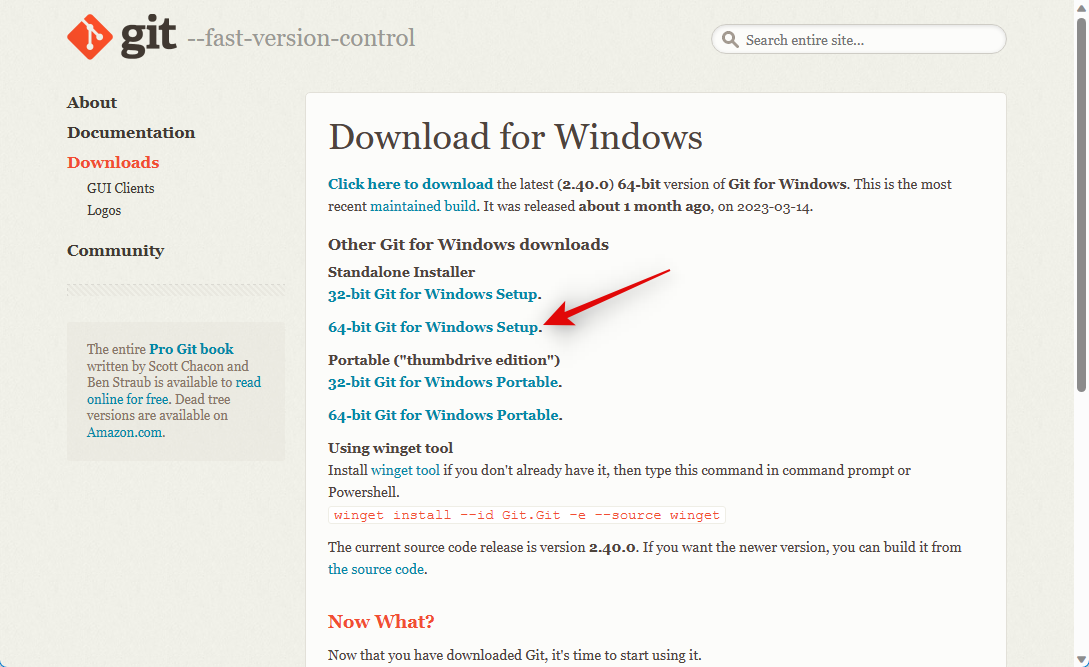 how-to-install-stable-diffusion-on-windows-21-1