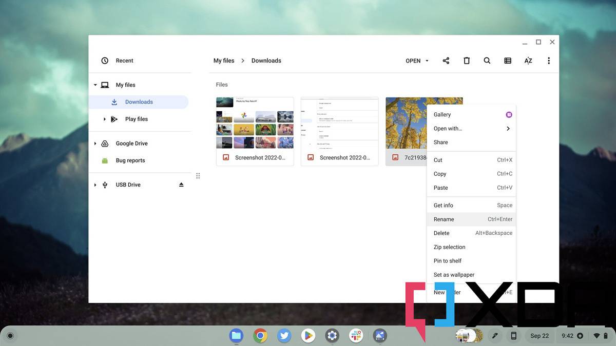 chromeos-wallpaper-settings-1