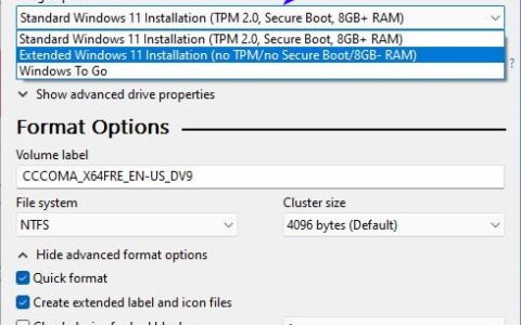 使用最新的 rufus 测试版禁用 windows 11 的 tpm、安全启动和 ram 要求