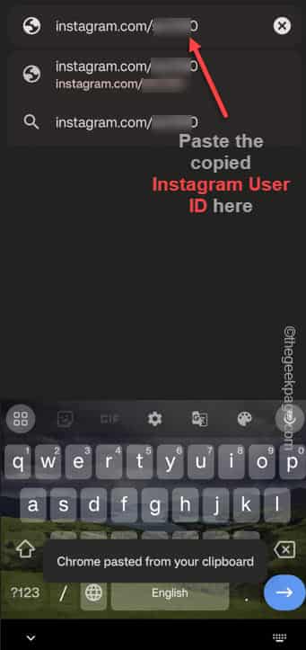 paste-the-copied-instagram-user-id-min