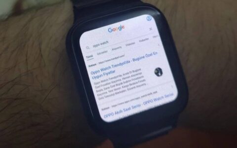 三星互联网网络浏览器现在可用于其他 wearos 智能手表